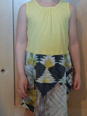 Anthem of the Ants Dress with pockets